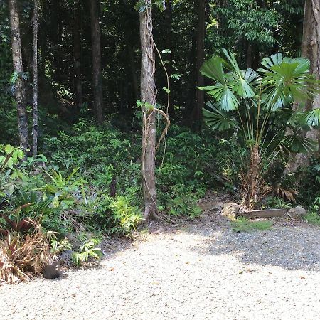 Forest Views Diwan Exterior foto